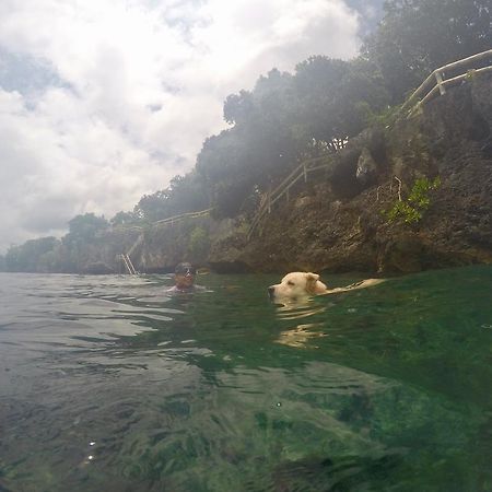 Alexis Cliff Dive Resort Panglao Exterior photo